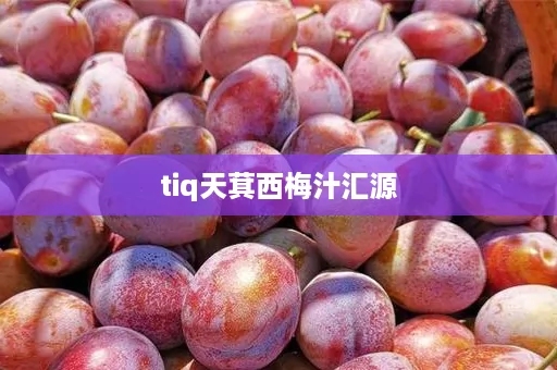 tiq天萁西梅汁汇源 tiq天萁西梅汁汇源