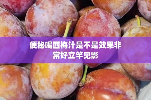 便秘喝西梅汁是不是效果非常好立竿见影 便秘喝西梅汁是不是效果非常好立竿见影