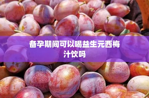 备孕期间可以喝益生元西梅汁饮吗