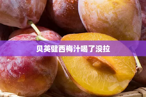 贝英健西梅汁喝了没拉