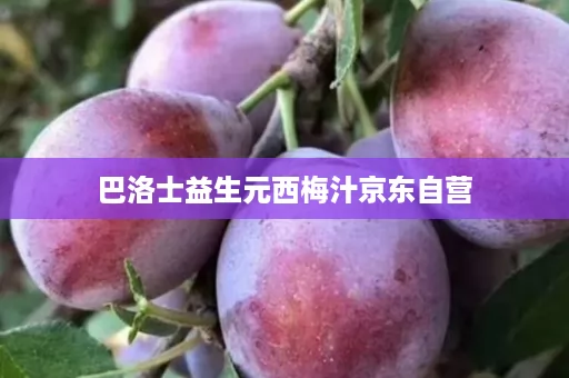 巴洛士益生元西梅汁京东自营