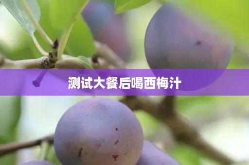 测试大餐后喝西梅汁 测试大餐后喝西梅汁