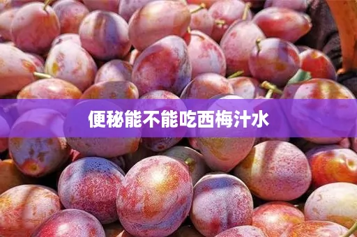 便秘能不能吃西梅汁水