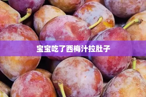 宝宝吃了西梅汁拉肚子 宝宝吃了西梅汁拉肚子