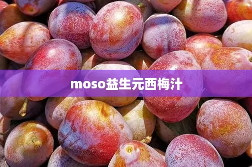 moso益生元西梅汁 moso益生元西梅汁