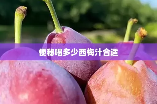 便秘喝多少西梅汁合适 便秘喝多少西梅汁合适