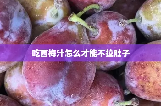 吃西梅汁怎么才能不拉肚子