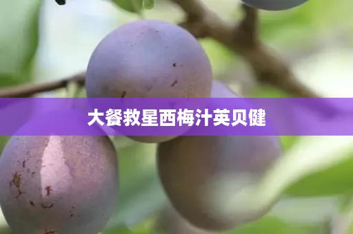 大餐救星西梅汁英贝健 大餐救星西梅汁英贝健