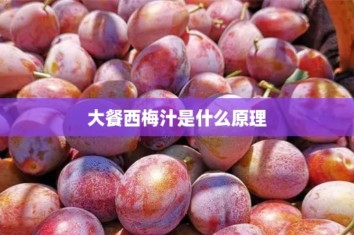 大餐西梅汁是什么原理