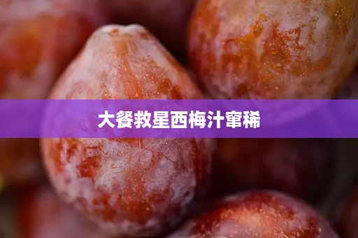 大餐救星西梅汁窜稀