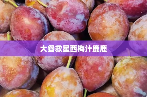大餐救星西梅汁鹿鹿