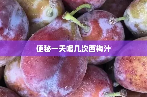 便秘一天喝几次西梅汁