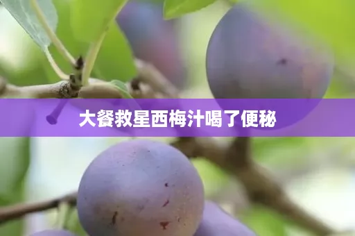 大餐救星西梅汁喝了便秘