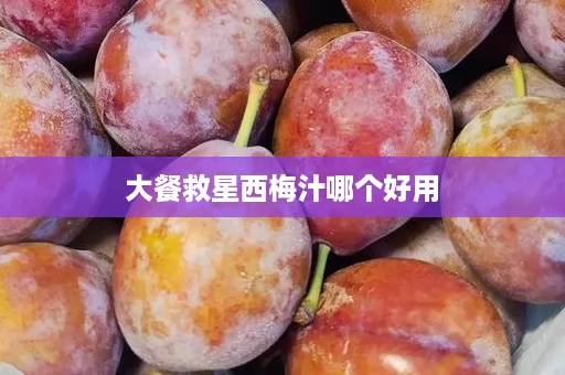 大餐救星西梅汁哪个好用