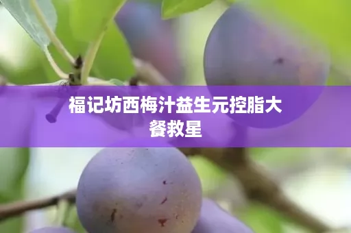 福记坊西梅汁益生元控脂大餐救星