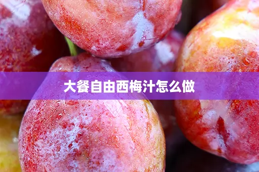 大餐自由西梅汁怎么做