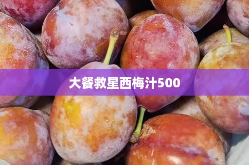 大餐救星西梅汁500