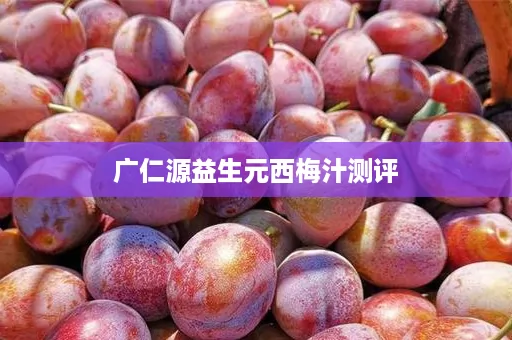 广仁源益生元西梅汁测评