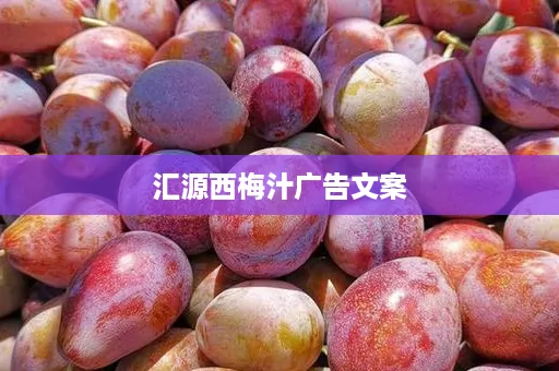 汇源西梅汁广告文案