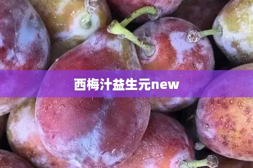 西梅汁益生元new