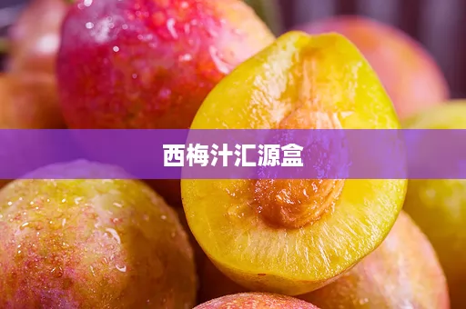 西梅汁汇源盒