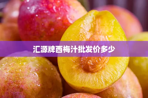 汇源牌西梅汁批发价多少