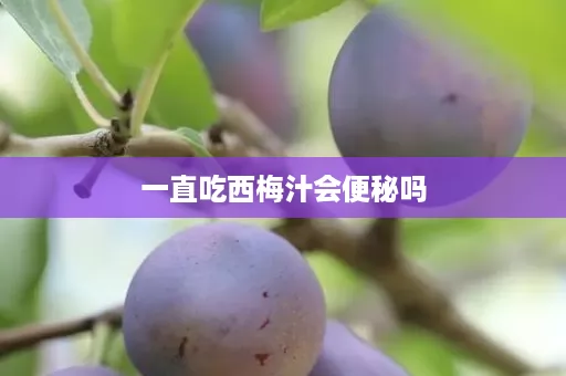 一直吃西梅汁会便秘吗