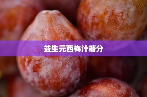 益生元西梅汁糖分