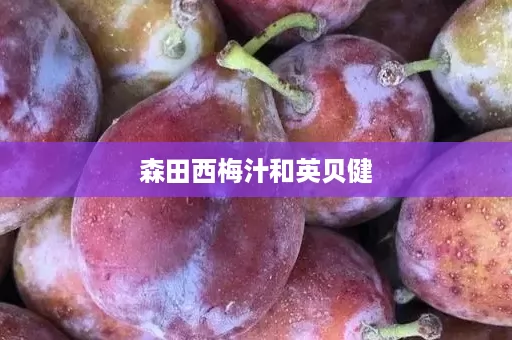 森田西梅汁和英贝健