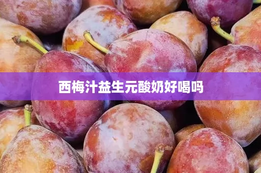 西梅汁益生元酸奶好喝吗