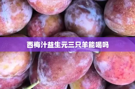 西梅汁益生元三只羊能喝吗