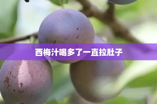 西梅汁喝多了一直拉肚子