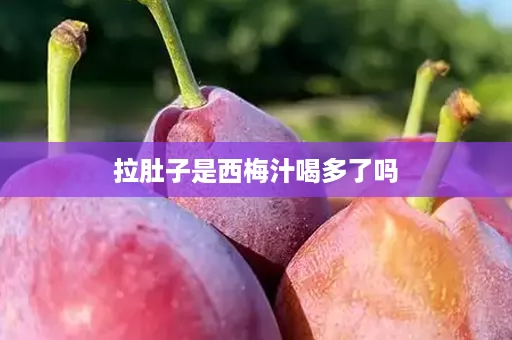 拉肚子是西梅汁喝多了吗