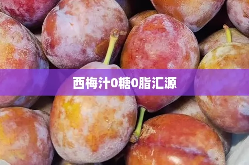 西梅汁0糖0脂汇源
