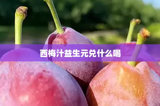 西梅汁益生元兑什么喝