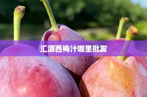 汇源西梅汁哪里批发