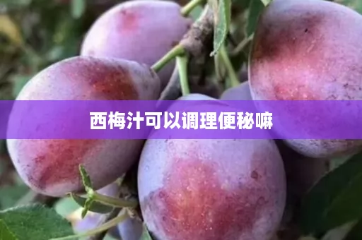 西梅汁可以调理便秘嘛