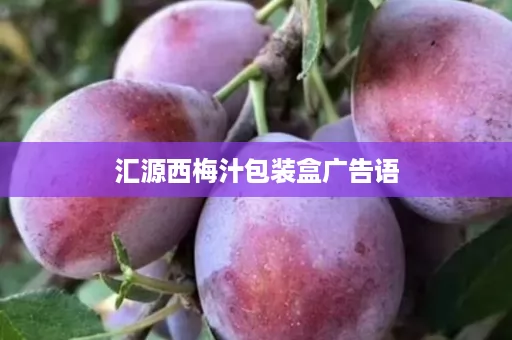 汇源西梅汁包装盒广告语