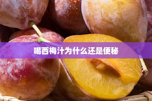 喝西梅汁为什么还是便秘