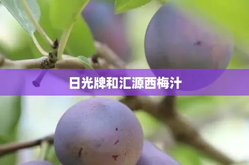 日光牌和汇源西梅汁