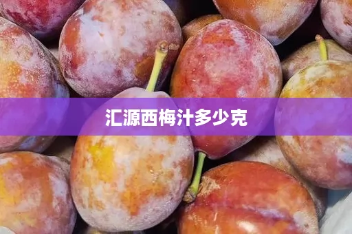 汇源西梅汁多少克