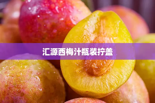 汇源西梅汁瓶装拧盖