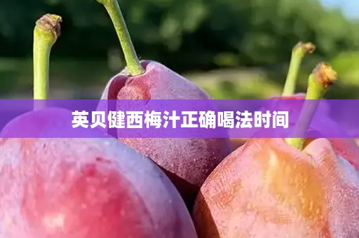 英贝健西梅汁正确喝法时间