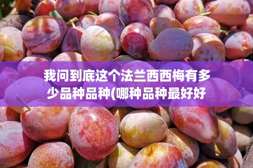 我问到底这个法兰西西梅有多少品种品种(哪种品种最好好吃)