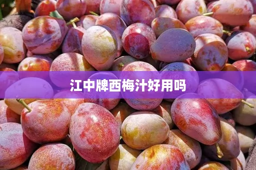 江中牌西梅汁好用吗