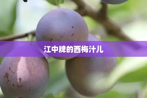 江中牌的西梅汁儿