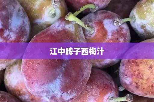 江中牌子西梅汁