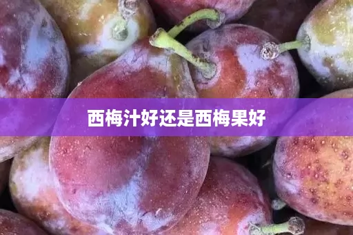 西梅汁好还是西梅果好