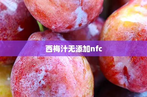 西梅汁无添加nfc