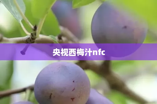 央视西梅汁nfc